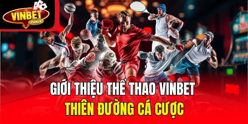 Giới thiệu thể thao Vinbet - Thiên đường cá cược